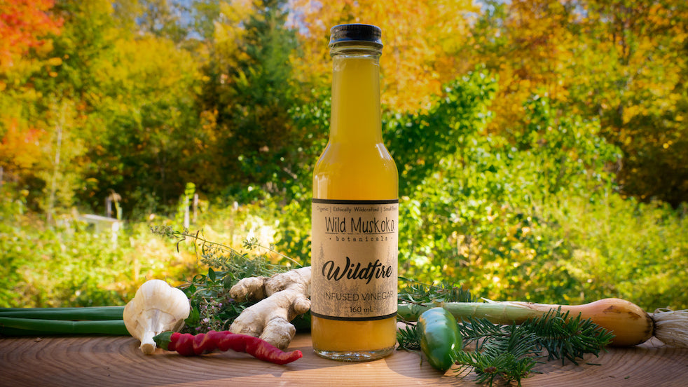 where to buy fire cider tonic
