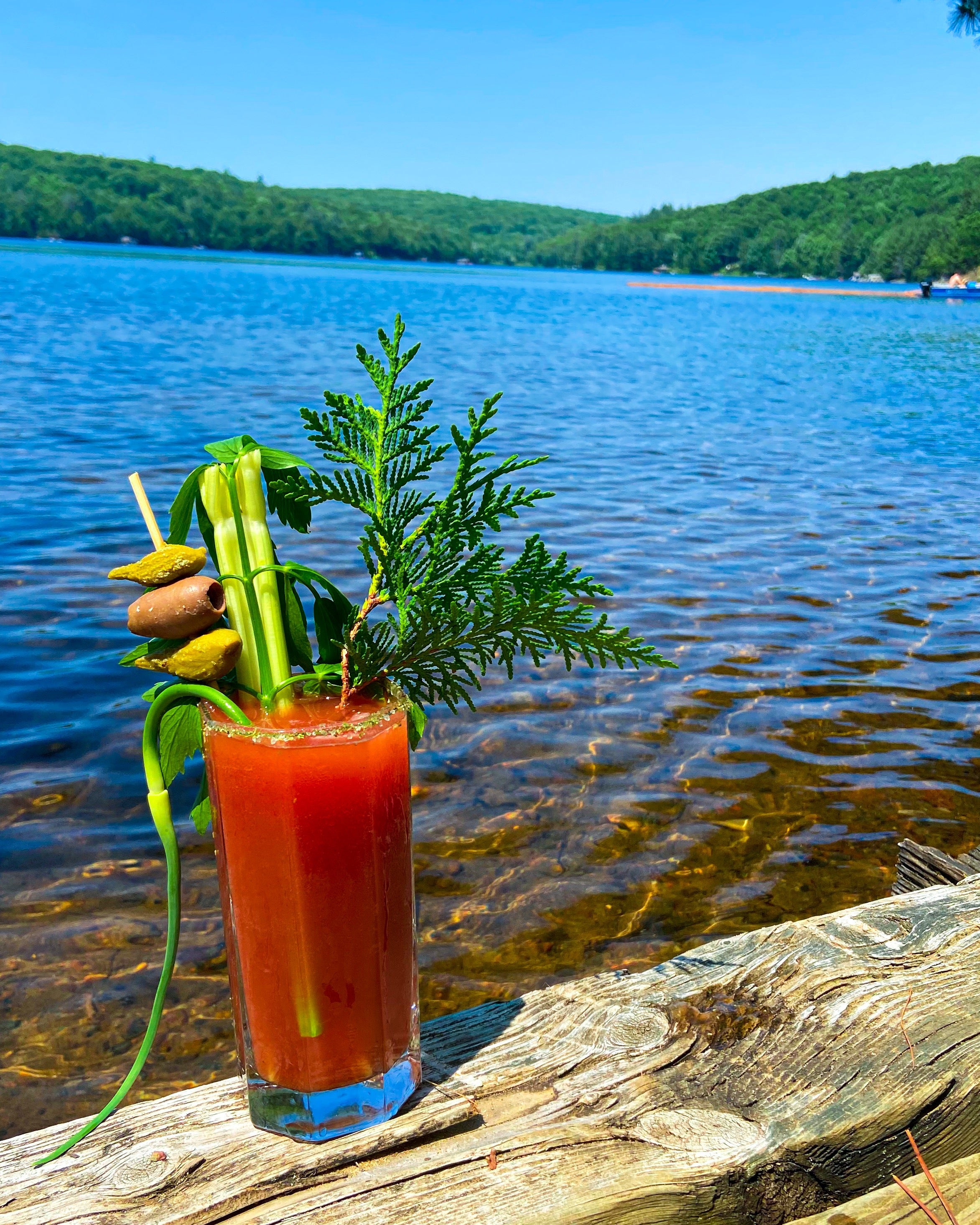 Wild Caesar Box ~ Foodie Gifts – Wild Muskoka Botanicals