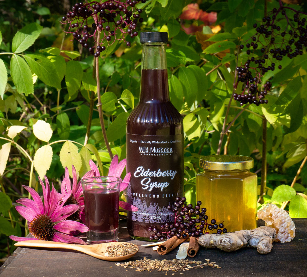 Elderberry Syrup Wellness Elixir – Wild Muskoka Botanicals Elderberry syrup near me